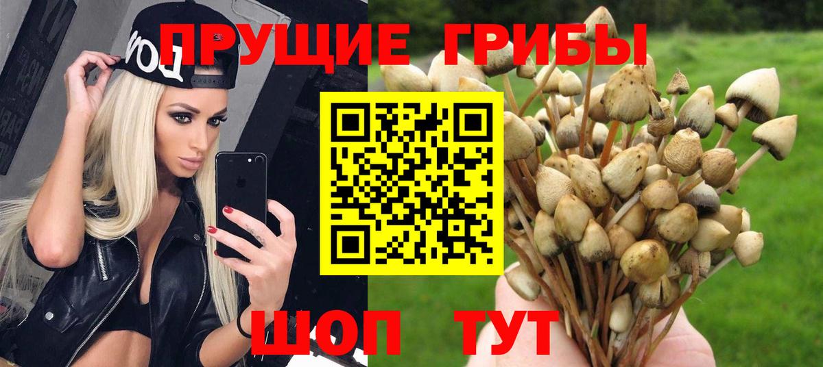 Южно-Сахалинск  Галлюциногенные грибы мицелий  Вход с VPN 